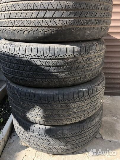 Tigar Summer SUV R17