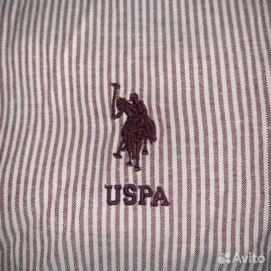 Рубашка u.s. polo assn