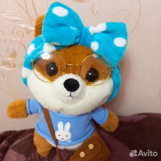 Авокадо с пледом, собака с пледом, Корги-Лалафан