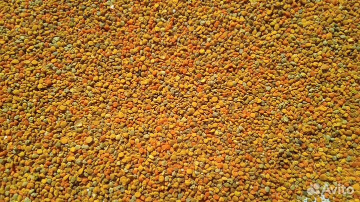 Пыльца пчелиная