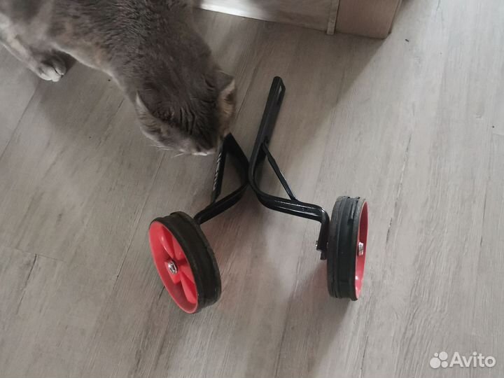 Велосипед детский Junior Rush бу