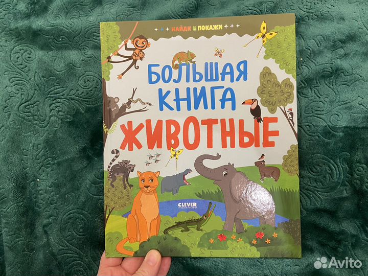 Детские книги пакетом клевер, карьера пресс