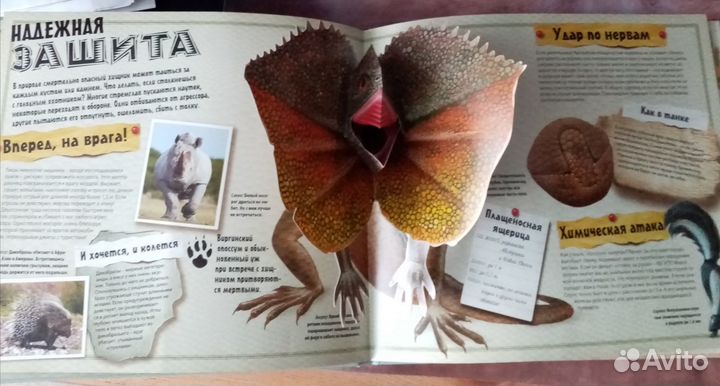 Книги для детей разные