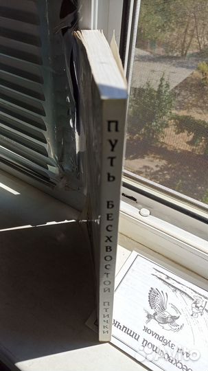 Талышханов Путь бесхвостой птички