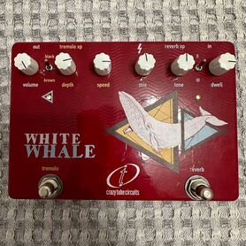 Crazy tube circuits white whale v1