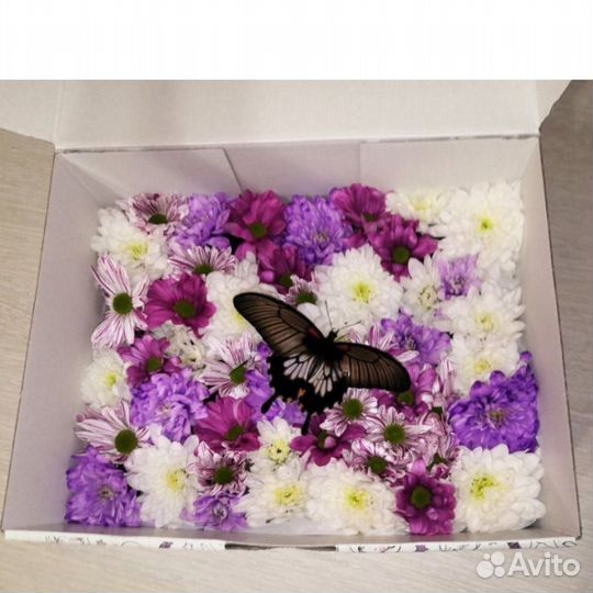 Бабочка оригинальный букет