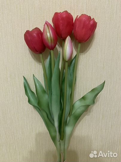 Тюльпаны интерьерные (букет 5 шт.)