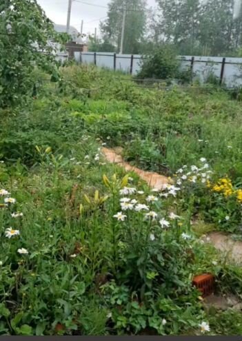 Участок 6 сот. (СНТ, ДНП)