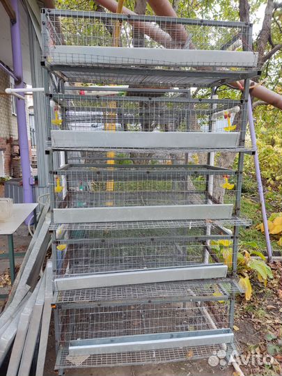 Клетки для перепелов бу