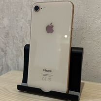 iPhone 8, 64 ГБ