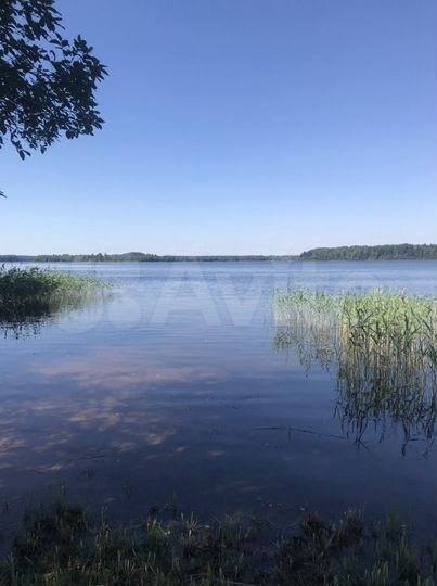 Участок 15 сот. (ИЖС)