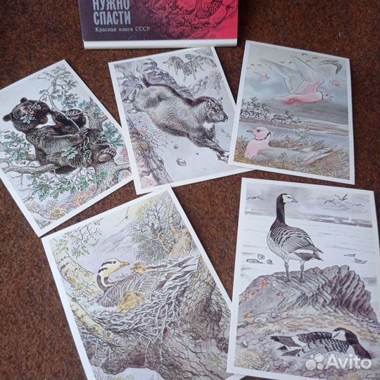 Наборы открыток СССР