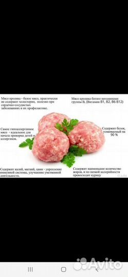 Мясо кролика