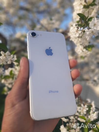 iPhone SE (2020), 128 ГБ