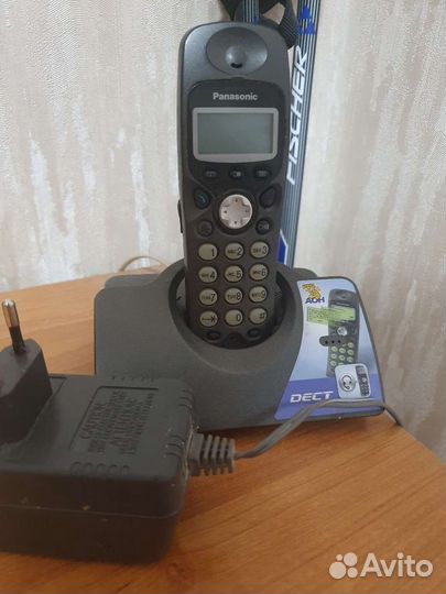 Panasonic