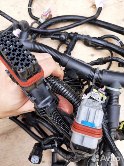 Проводка двигателя MAN D0836