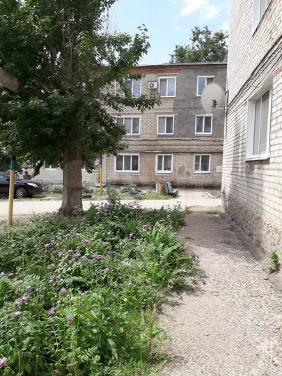 1-к. квартира, 49,9 м², 2/3 эт.