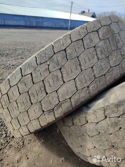 Шины 315х70х22,5