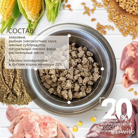 Корм для собак