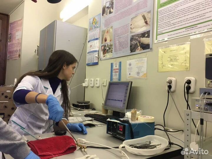 Репетитор по биологии