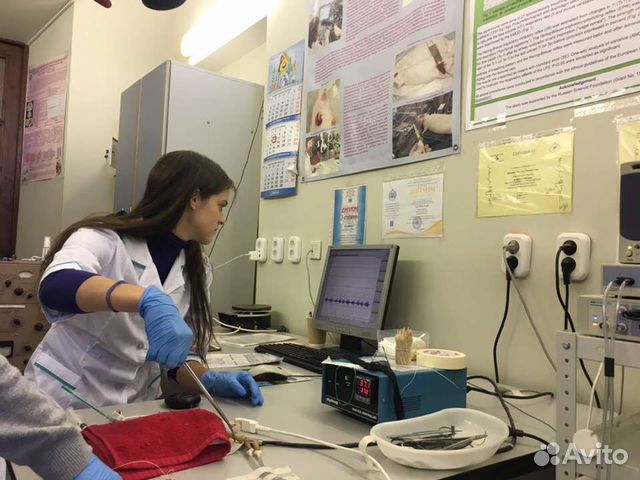 Репетитор по биологии