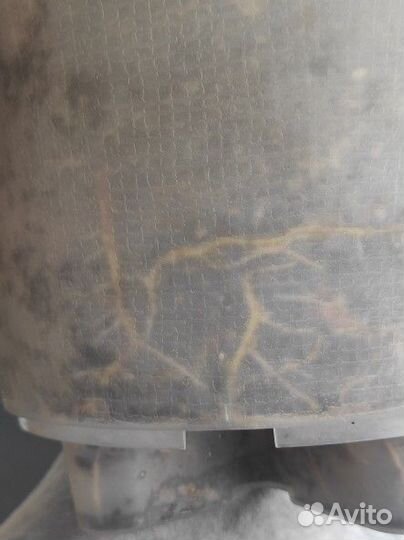 Фикус бенгальский доставлю