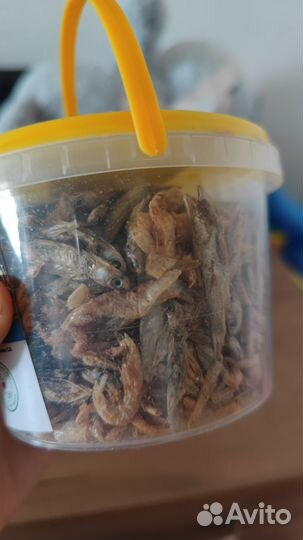 Корм для черепах