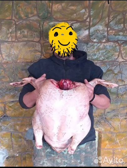 Индейка. Тушками. С разрубом