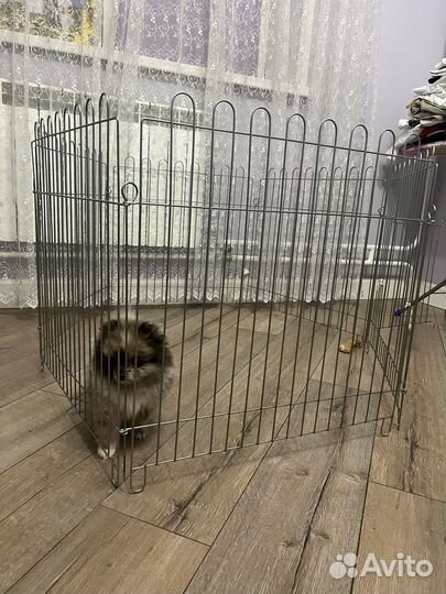 Вольер для щенков в квартиру