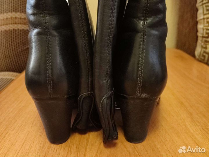 Сапоги осень весна женские демисизонные 36
