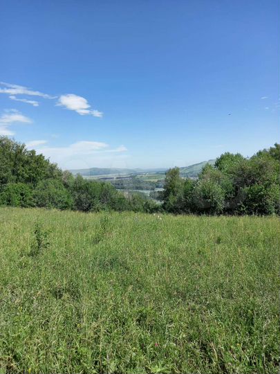 Участок 7 га (СНТ, ДНП)