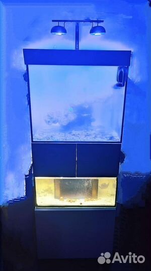 Морской аквариум