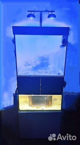 Морской аквариум