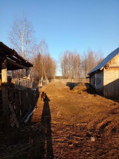 Участок 11 га (СНТ, ДНП)