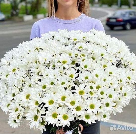 Хризантема Букеты доставка цветов