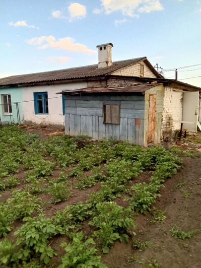 Дом 60 м² на участке 22 сот.