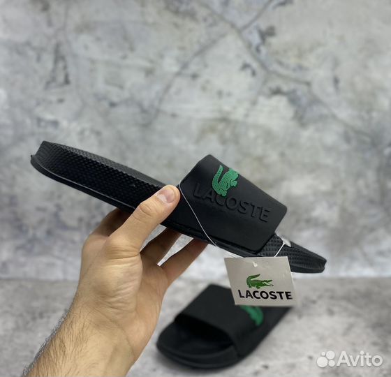 Мужские тапочки Lacoste