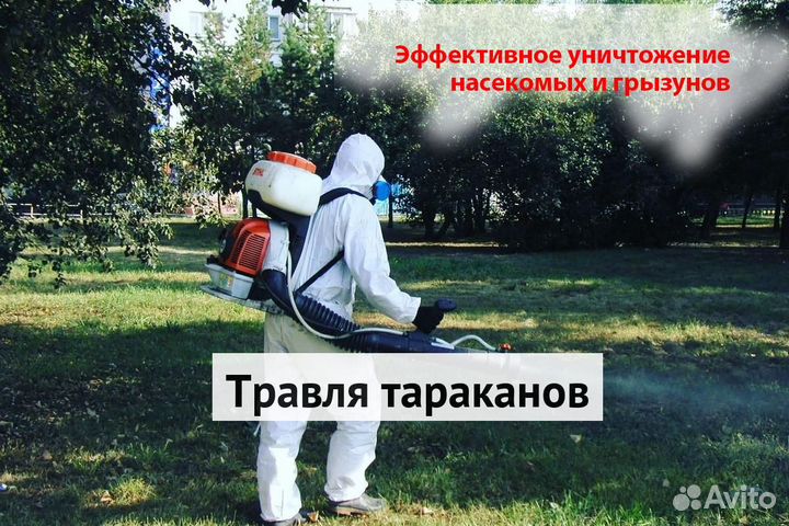 Уничтожение клопов тараканов лечение растений