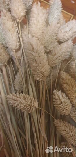 Снопики из отбеленной пшеницы, с лавандой