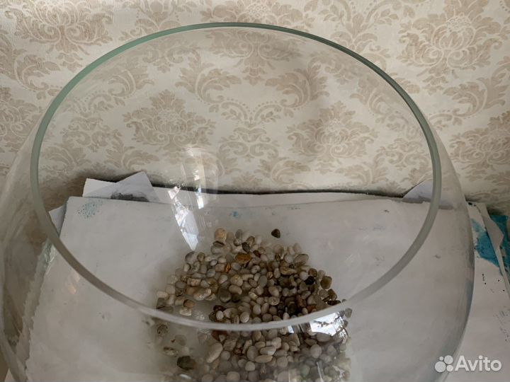 Аквариум 10 литров