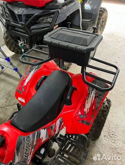 Кофр детский квадроцикл 50-150см3 PZ Mini 1