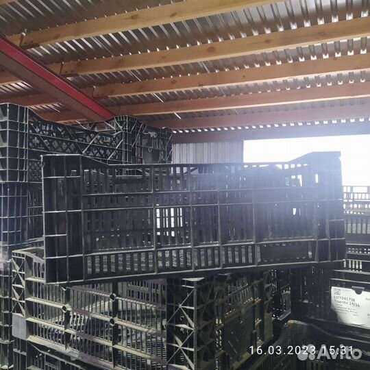 Пластиковые ящики бу