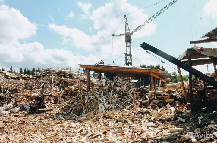 Дрова колотые с доставкой