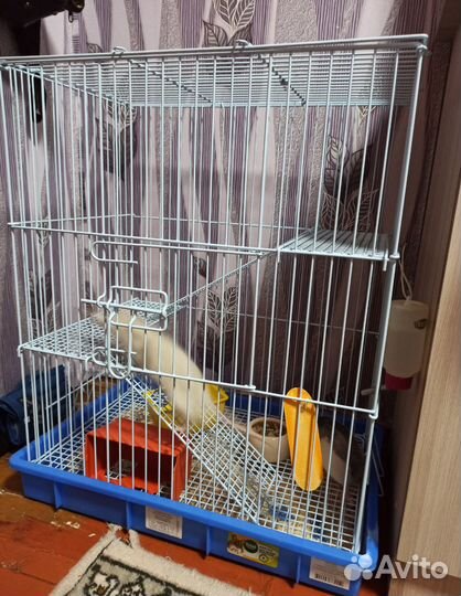 Клетка для крыс