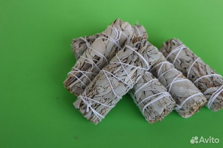 Шалфей Белый от 20шт опт для Озон