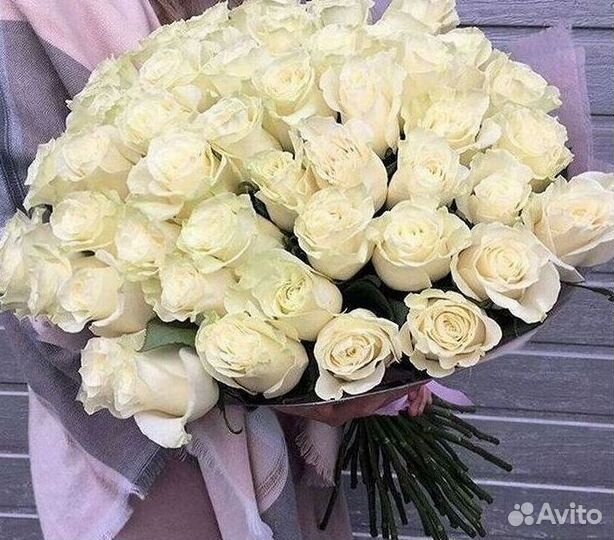 101 роза цветы букеты доставка 25 51 101 роза