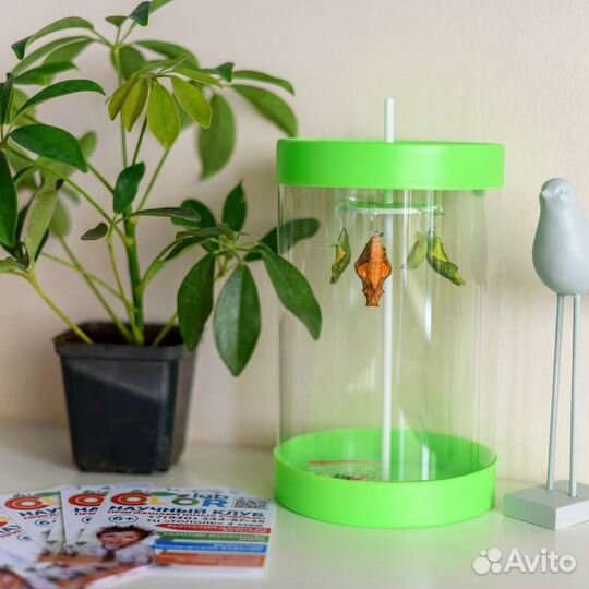 Ферма бабочек