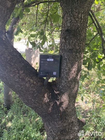 Беспроводные наушники samsung