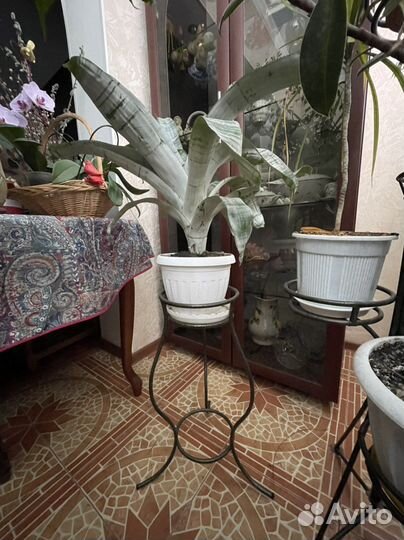 Подставка под цветы