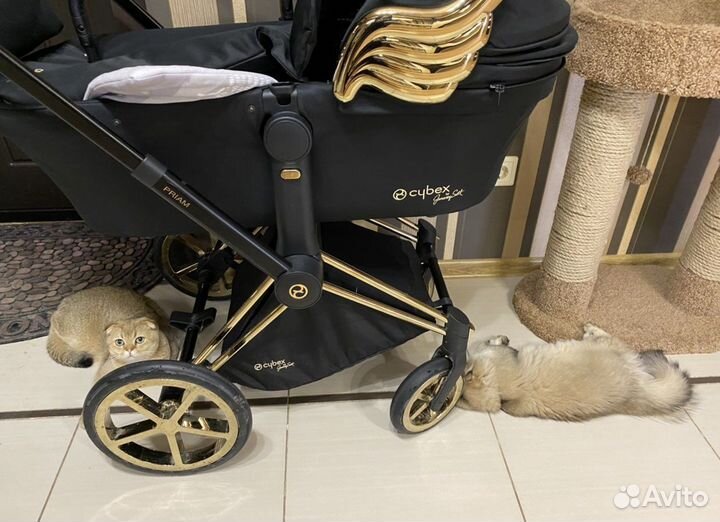 Коляска cubex 2 в 1
